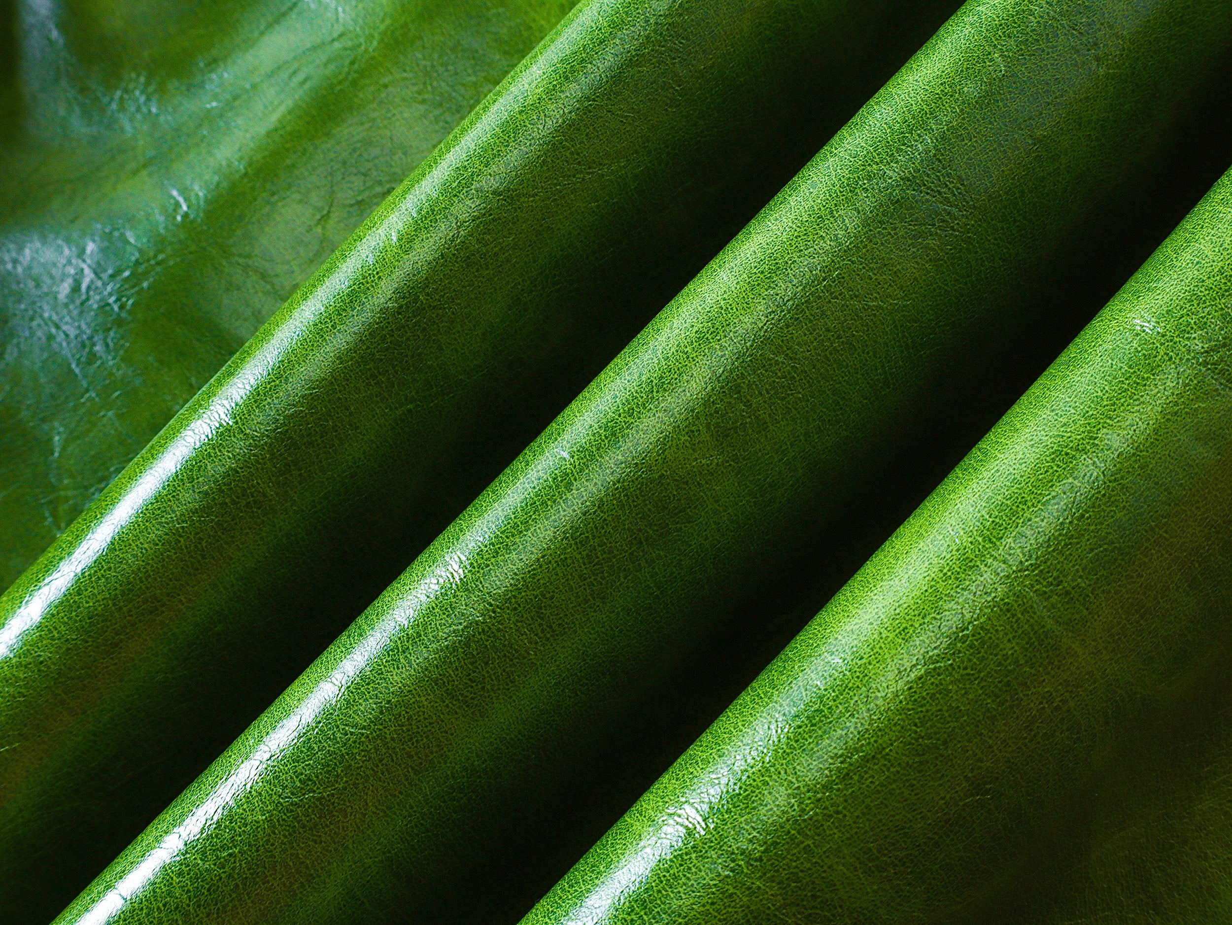 Green Liquid Leather Wide-Leg Pants